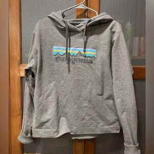 Patagonia Pastel Gravel Heather Hoodie Women's M